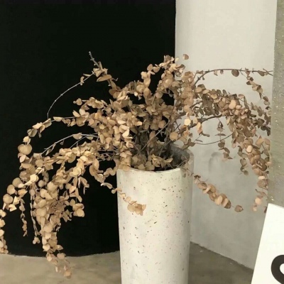 兽设场景透视绘画教程Furry群